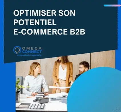 Optimiser son potentiel e-commerce B2B.