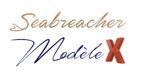 acheter en ligne