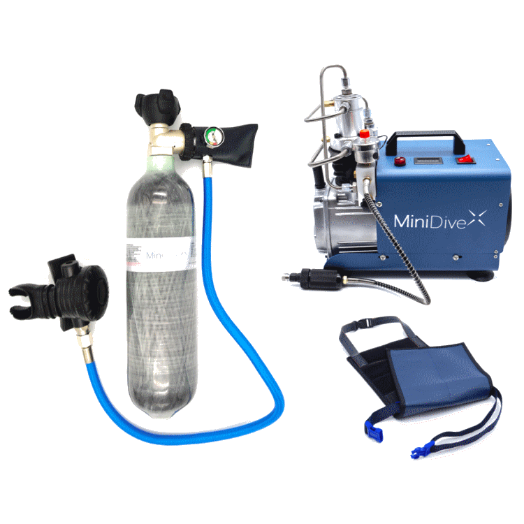 custom-motors-minidive-carbon-transparency buy online